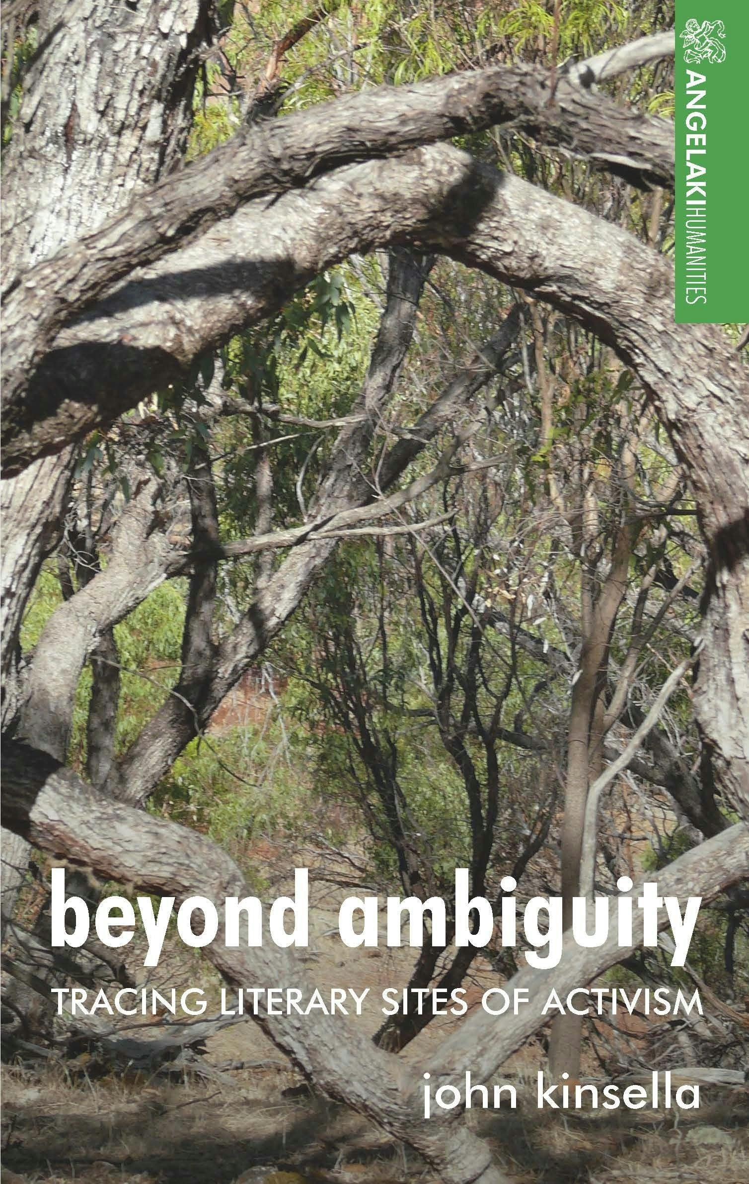 Book cover image for Beyond ambiguity ISBN: 9781526191212